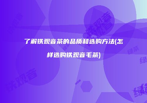 了解铁观音茶的品质和选购方法(怎样选购铁观音毛茶)
