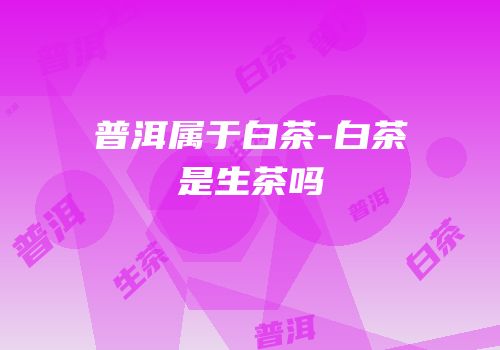 普洱属于白茶-白茶是生茶吗