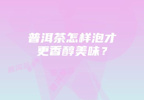 普洱茶怎样泡才更香醇美味？
