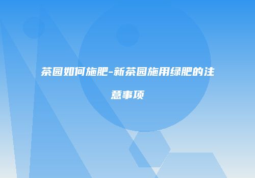 茶园如何施肥-新茶园施用绿肥的注意事项