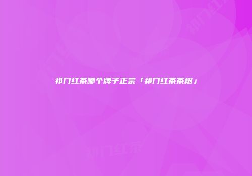 祁门红茶哪个牌子正宗「祁门红茶茶树」
