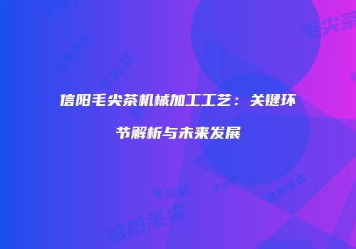 信阳毛尖茶机械加工工艺：关键环节解析与未来发展
