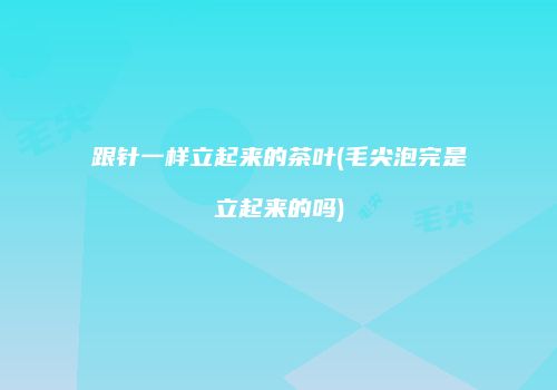 跟针一样立起来的茶叶(毛尖泡完是立起来的吗)