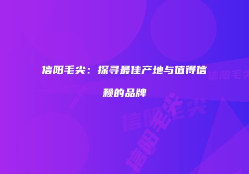 信阳毛尖：探寻最佳产地与值得信赖的品牌