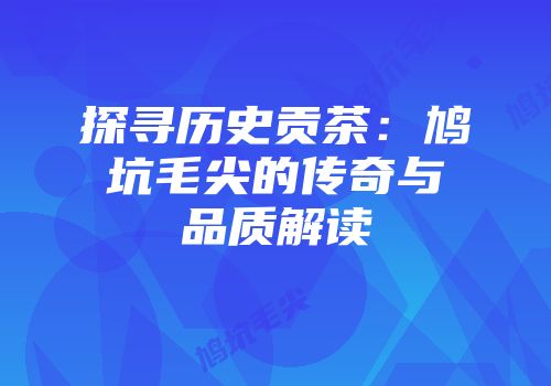 探寻历史贡茶：鸠坑毛尖的传奇与品质解读