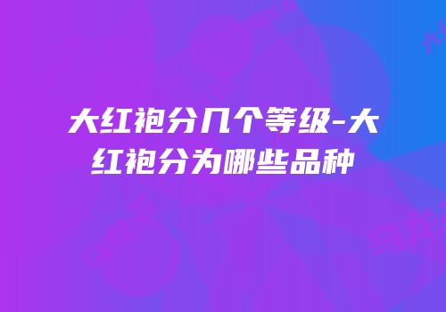 大红袍分几个等级-大红袍分为哪些品种