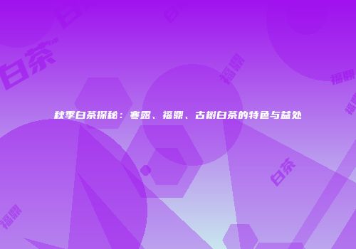 秋季白茶探秘：寒露、福鼎、古树白茶的特色与益处