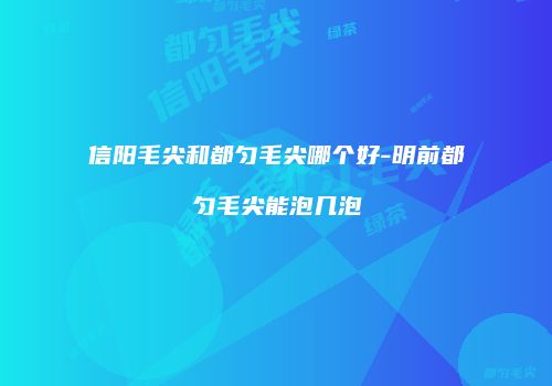 信阳毛尖和都匀毛尖哪个好-明前都匀毛尖能泡几泡