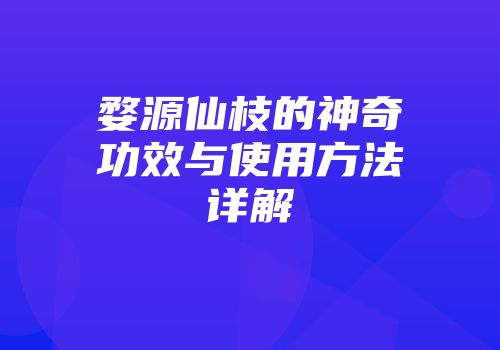 婺源仙枝的神奇功效与使用方法详解