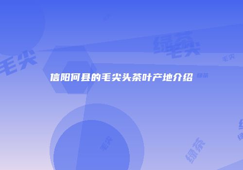 信阳何县的毛尖头茶叶产地介绍