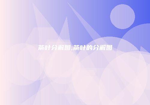 茶叶分解图,茶叶的分解图
