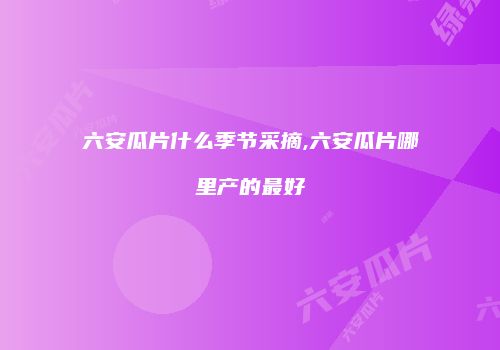 六安瓜片什么季节采摘,六安瓜片哪里产的最好