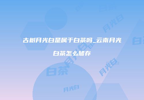 古树月光白是属于白茶吗_云南月光白茶怎么储存