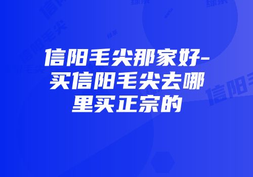 信阳毛尖那家好-买信阳毛尖去哪里买正宗的
