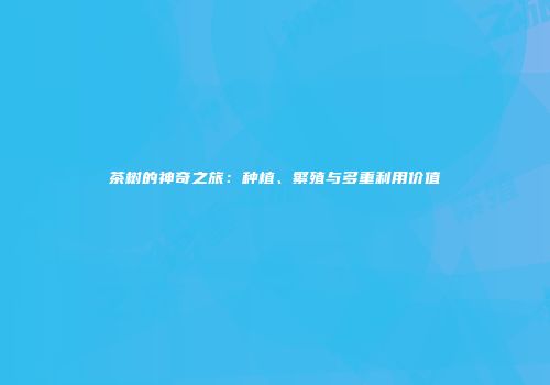 茶树的神奇之旅：种植、繁殖与多重利用价值
