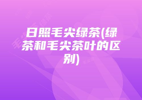 日照毛尖绿茶(绿茶和毛尖茶叶的区别)