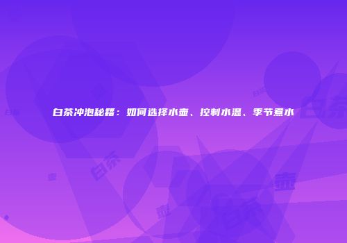 白茶冲泡秘籍：如何选择水壶、控制水温、季节煮水
