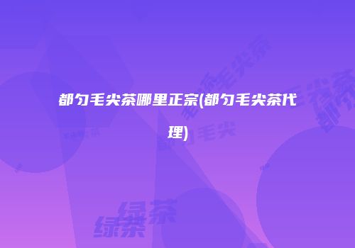 都匀毛尖茶哪里正宗(都匀毛尖茶代理)