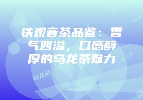 铁观音茶品鉴：香气四溢，口感醇厚的乌龙茶魅力