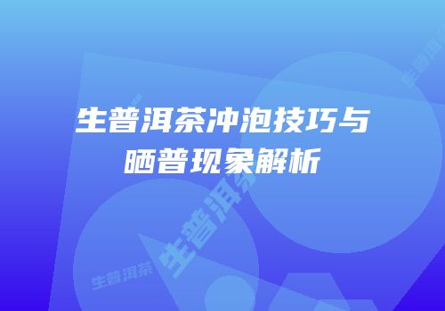生普洱茶冲泡技巧与晒普现象解析