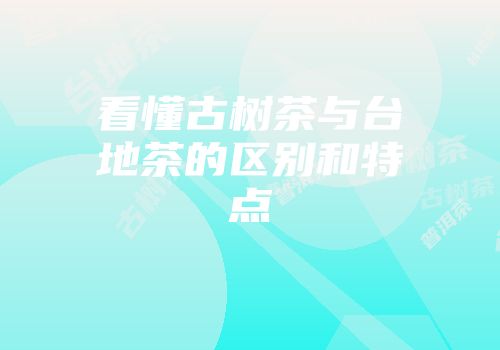 看懂古树茶与台地茶的区别和特点