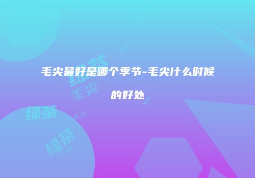 毛尖最好是哪个季节-毛尖什么时候的好处