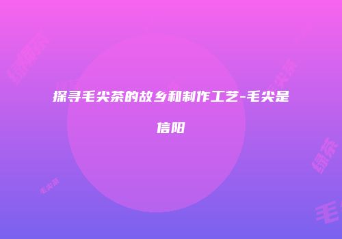探寻毛尖茶的故乡和制作工艺-毛尖是信阳