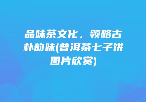 品味茶文化，领略古朴韵味(普洱茶七子饼图片欣赏)