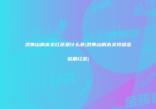 武夷山桐木关红茶是什么茶(武夷山桐木关特级金骏眉红茶)
