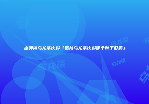 康师傅乌龙茶饮料「蜜桃乌龙茶饮料哪个牌子好喝」