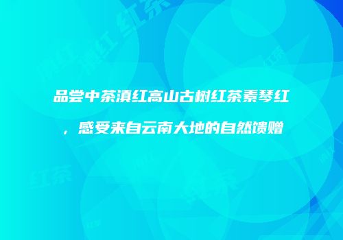 品尝中茶滇红高山古树红茶素琴红，感受来自云南大地的自然馈赠