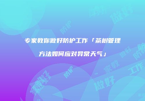 专家教你做好防护工作「茶树管理方法如何应对异常天气」