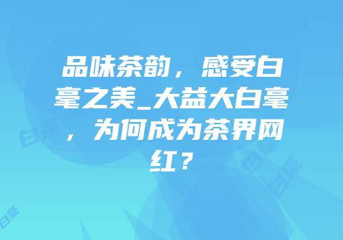 品味茶韵，感受白毫之美_大益大白毫，为何成为茶界网红？