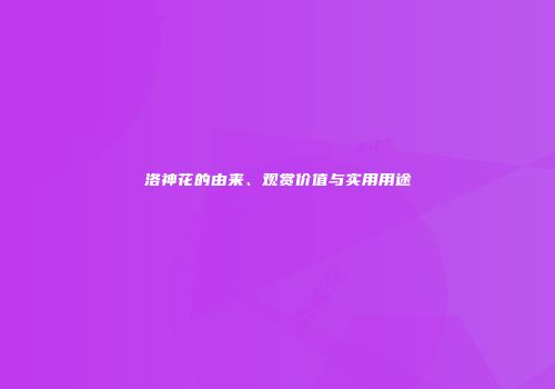 洛神花的由来、观赏价值与实用用途