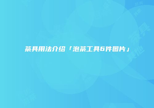 茶具用法介绍「泡茶工具6件图片」