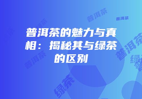 普洱茶的魅力与真相：揭秘其与绿茶的区别