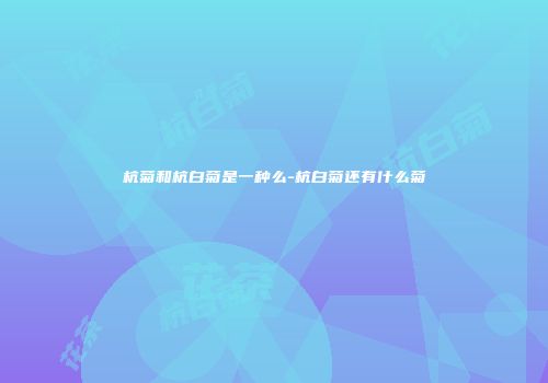 杭菊和杭白菊是一种么-杭白菊还有什么菊