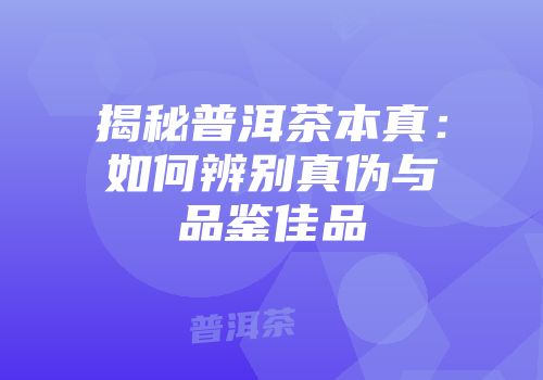 揭秘普洱茶本真：如何辨别真伪与品鉴佳品
