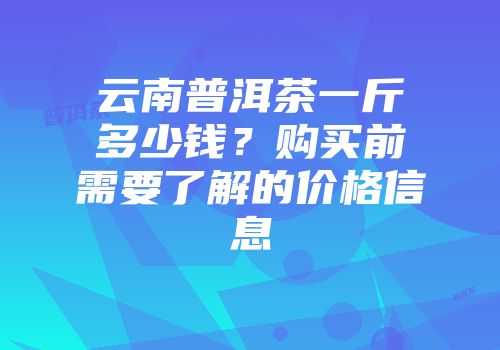 云南普洱茶一斤多少钱？购买前需要了解的价格信息