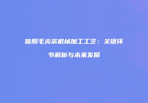 信阳毛尖茶机械加工工艺：关键环节解析与未来发展