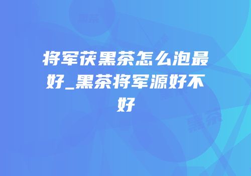 将军茯黑茶怎么泡最好_黑茶将军源好不好