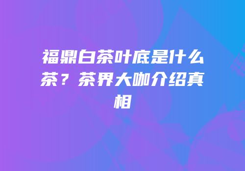 福鼎白茶叶底是什么茶？茶界大咖介绍真相