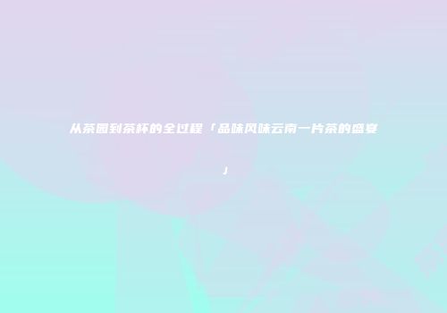 从茶园到茶杯的全过程「品味风味云南一片茶的盛宴」