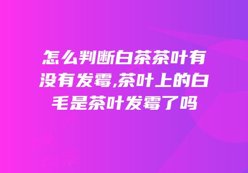 怎么判断白茶茶叶有没有发霉,茶叶上的白毛是茶叶发霉了吗