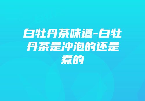 白牡丹茶味道-白牡丹茶是冲泡的还是煮的