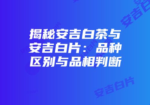 揭秘安吉白茶与安吉白片：品种区别与品相判断