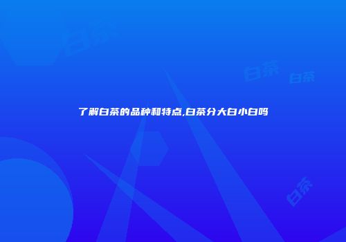 了解白茶的品种和特点,白茶分大白小白吗