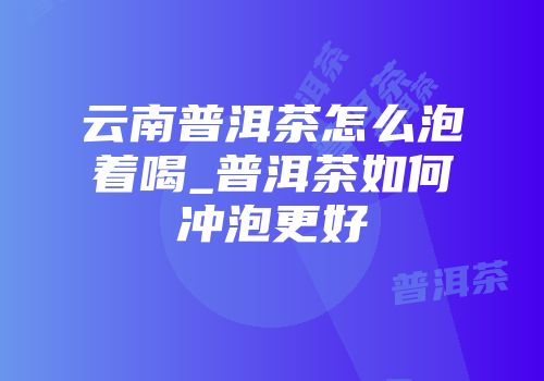 云南普洱茶怎么泡着喝_普洱茶如何冲泡更好