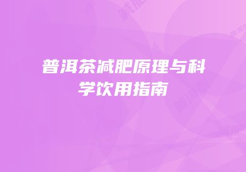 普洱茶减肥原理与科学饮用指南