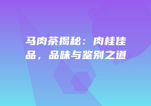 马肉茶揭秘：肉桂佳品，品味与鉴别之道
